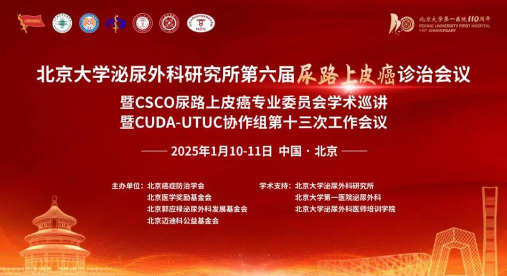 北京大学泌尿外科研究所第六届尿路上皮癌诊治会议